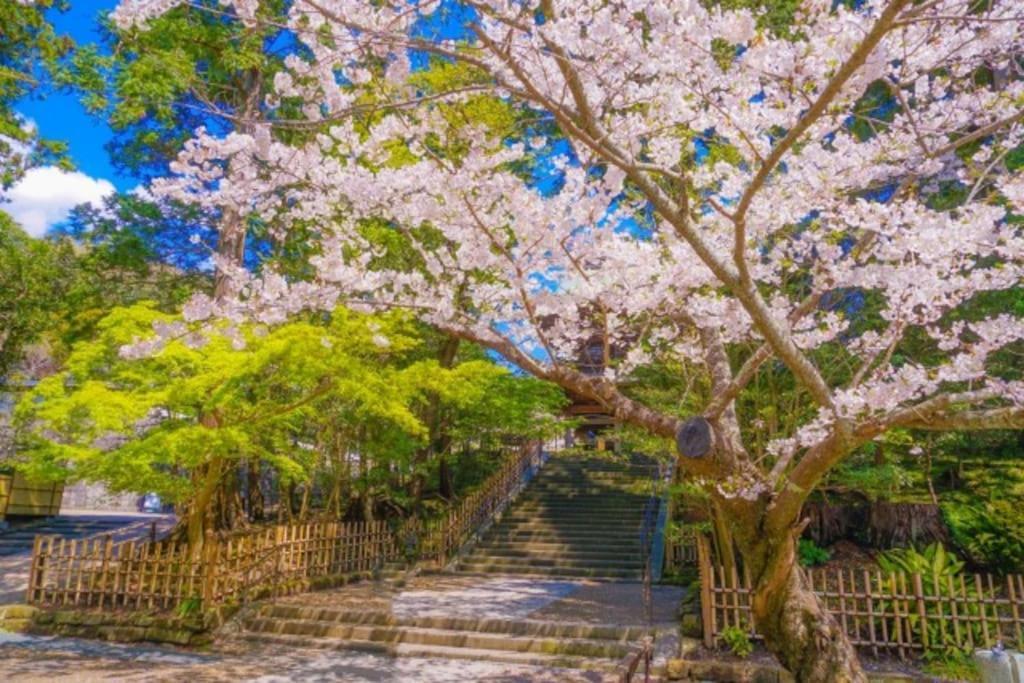 甘糟屋敷 Amakasu Yashiki Kamakura Villa ภายนอก รูปภาพ