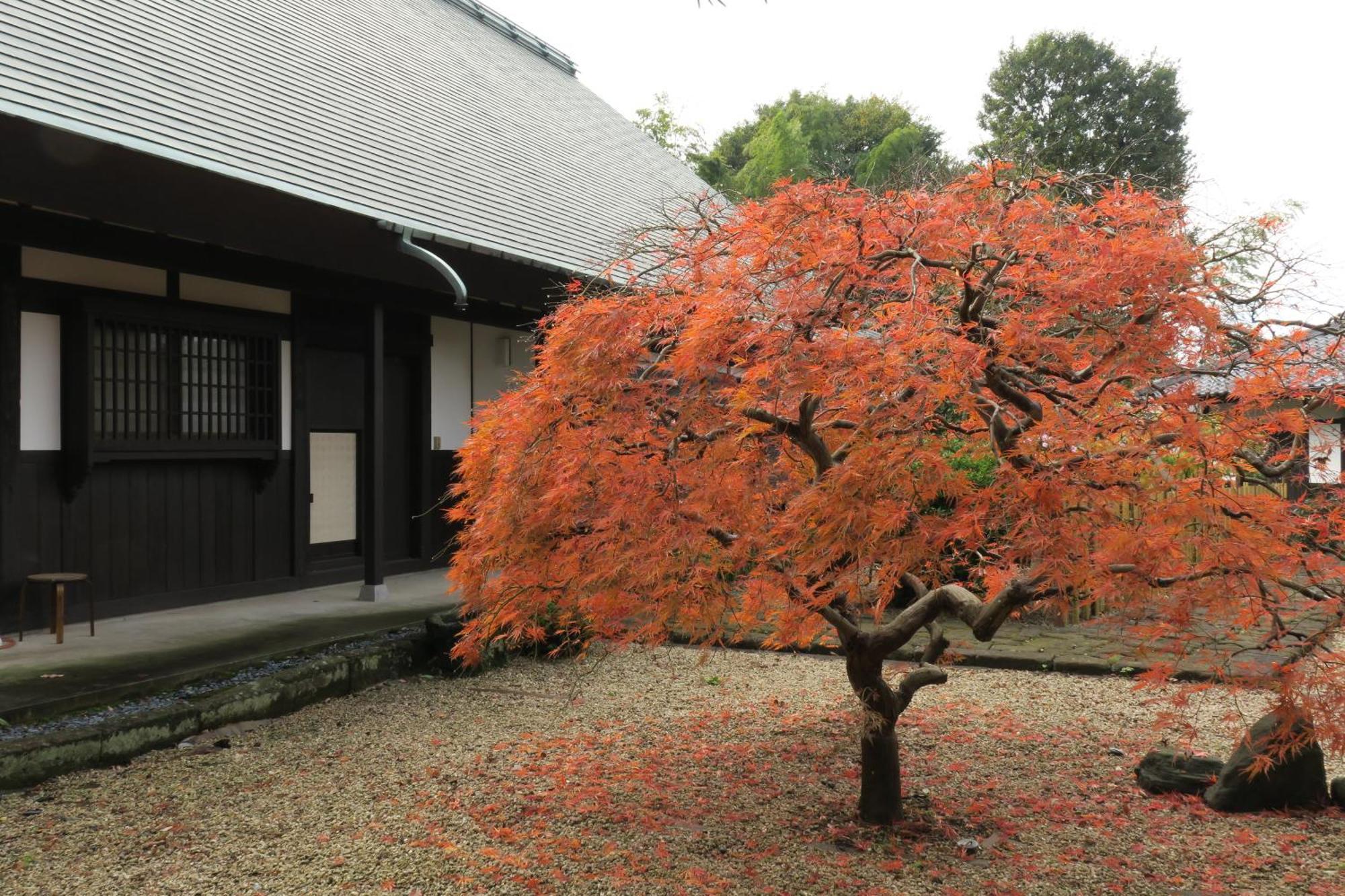 甘糟屋敷 Amakasu Yashiki Kamakura Villa ภายนอก รูปภาพ